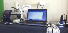 Spettrometria Micro Raman e Microscopia USB